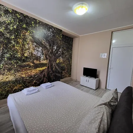 Auberge de jeunesse Fine